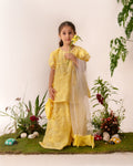 Lemon Chantille lace gharara set eac26