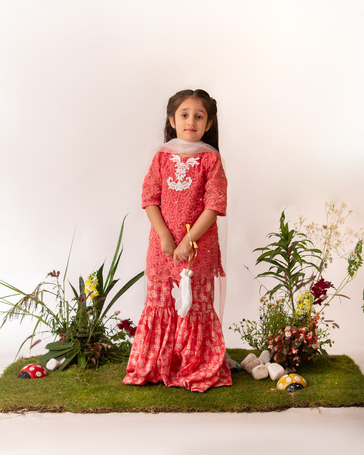 Ayleen peach gharara eac26