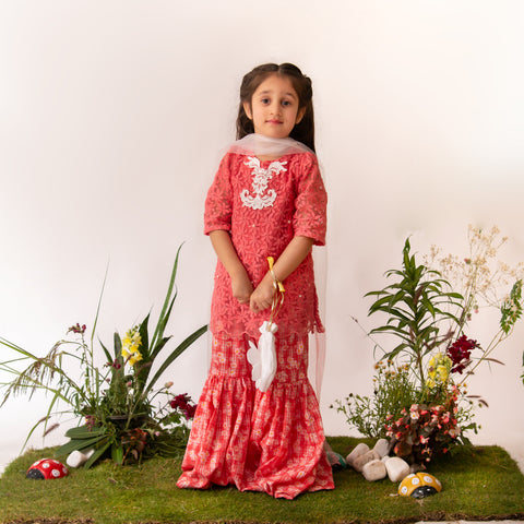 Ayleen peach gharara eac26